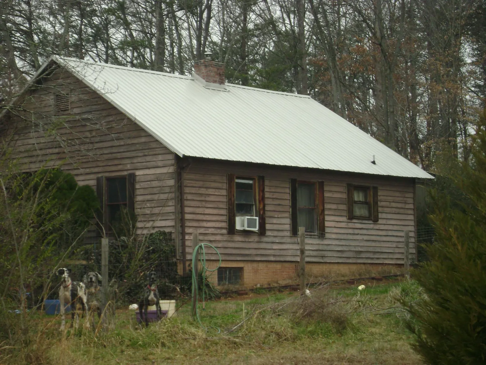 White metal roof on an old wood sided farmhouse, from a Metal Roof Installation job in Allenspark